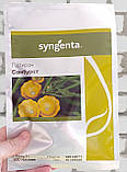 Санбурст насіння патисона Syngenta, Голландія 500 шт, фото 4