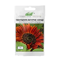 Соняшник Вечірнє сонце, 1 г