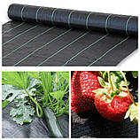 Агроткань пакетированная 5-10 метров