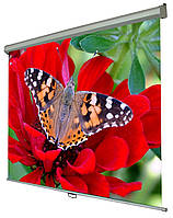 Екран настінний ручний Walfix 100" SNM-3 (152*203, 4:3) PR1