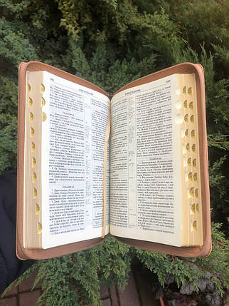Біблія, переклад Рафаїла Турконяка, друге видання, 15х21 см, шкірзамін., замок, індекси., фото 2