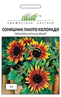 Соняшник Пакіто Колорадо суміш, 1 г