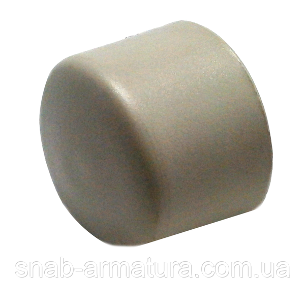 Заглушка ППР Ду 50 Georg Fischer