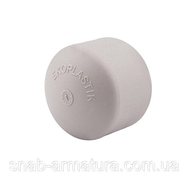 Заглушка ППР Ду 50 Ekoplastik