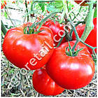 Томат Король ранніх 0.1 г GL Seeds, фото 2