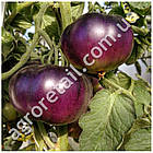 Томат Аметистова дорогоцінність 0.1 г GL Seeds, фото 3