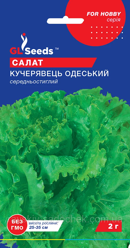 Насіння Салата Одеський кучерявець 2г. Середній.