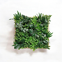 Фітостінка Зелений мікс