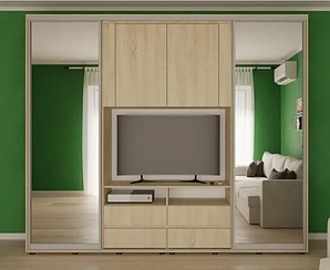 Шафа-купе ТВ-7 Алекса розсувна шафа 2 двері з полицею під тв купити в Одесі, Україні