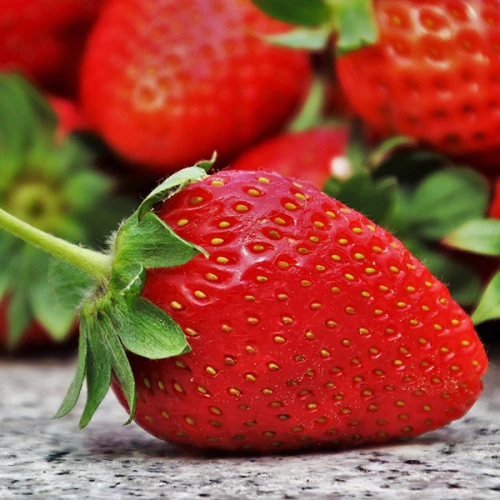 Полуниця Ампельна 10шт "Рубі Енн" (великоплідний, ранній сорт), фото 1