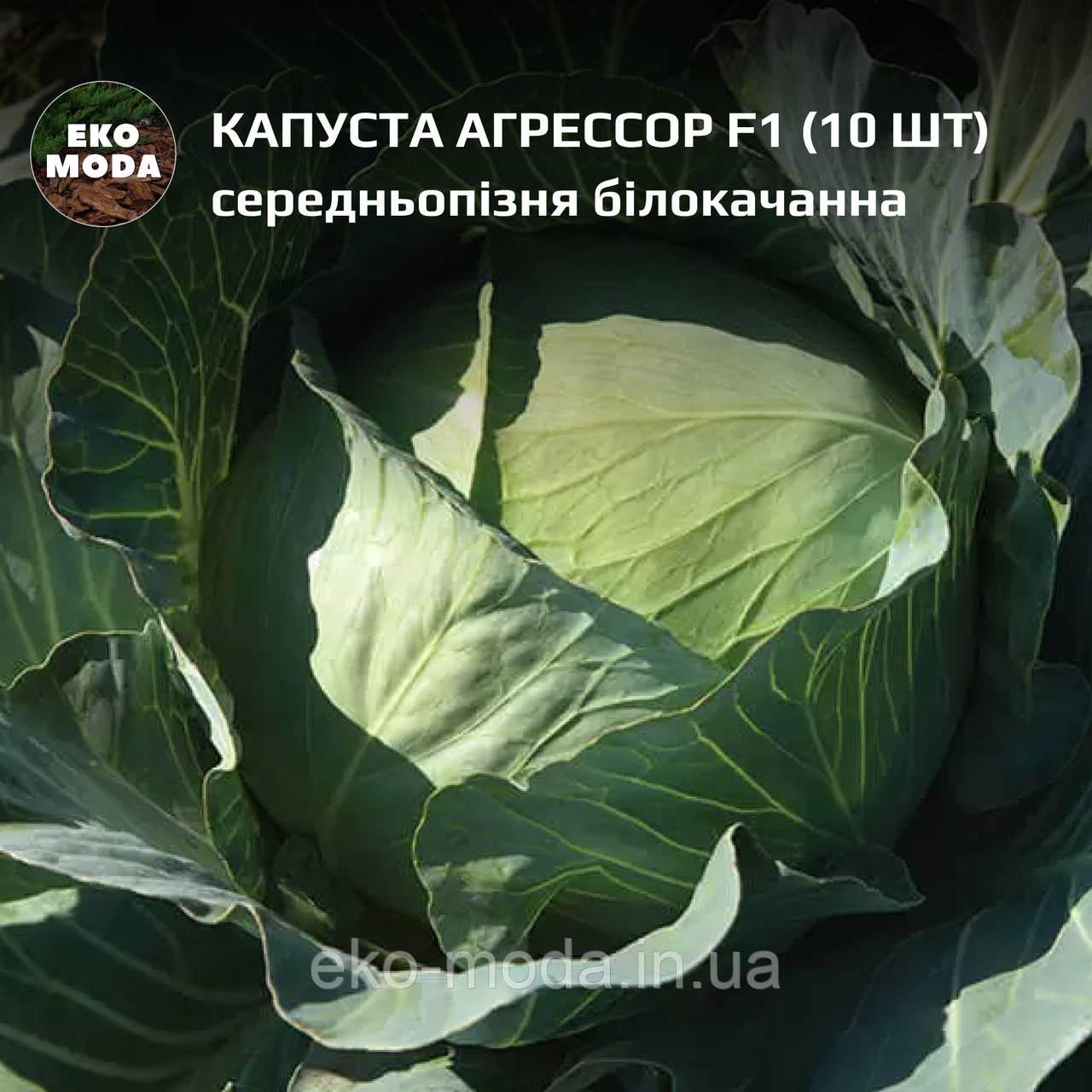 Капуста Агрессор F1 - середньопізня білокачанна - ( 10 шт  zip-пакет)