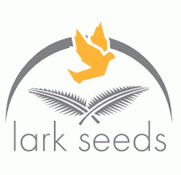 Семена томата Рио Фуего (Rio fuego)/Lark seeds, 500 г очень плотный, сливовидной формы - фото 2 - id-p453500540