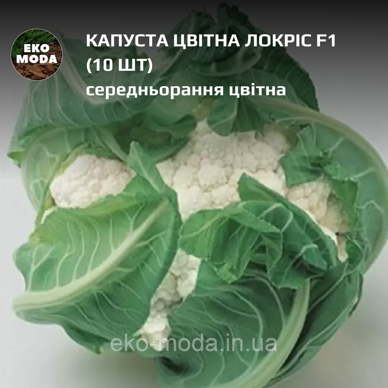 Капуста цвітна Локріс F1 - середньорання цвітна - ( 10 шт zip-пакет), фото 1