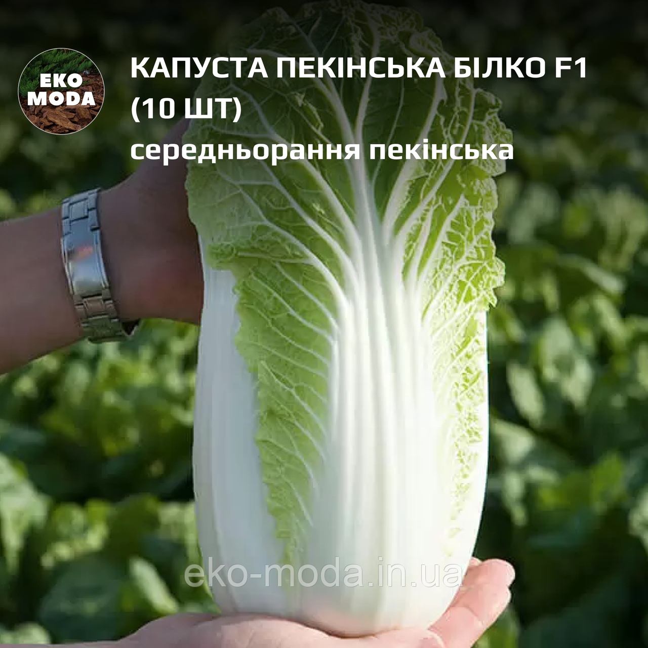 Капуста пекінська Білко F1  - середньорання пекінська  - ( 10 шт  zip-пакет)