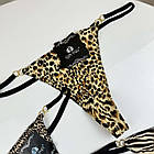 Жіночі трусики Lady Part #6033, фото 5