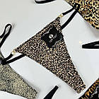 Жіночі трусики Lady Part #6033, фото 6