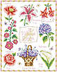 Набір для вишивання "Victorian Garden ". AIDA 14CT ,31*38 см. БЕЗ нанесення на канву схеми., фото 3