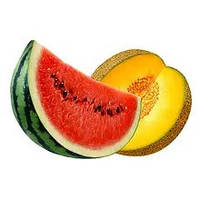 Насіння Кавуна, Дині