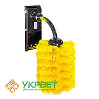 Щітка-чесалка EasySwing Mini