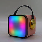 Бездротова Bluetooth колонка з 2 мікрофонами, USB, ZX-03 / Портативна блютуз колонка / Караоке для дітей, фото 9