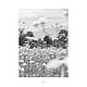 Книга "Сила трав. рослини та їх властивості для практик очищення, краси та натхнення", фото 3