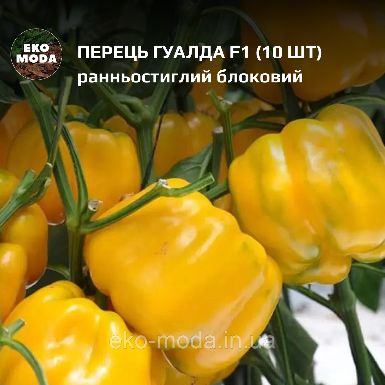 Перець Гуалда F1  - ранньостиглий , блоковий - ( 10 шт  zip-пакет)