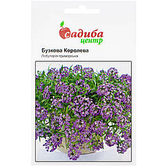 Лобулярія приморська Бузкова Королева 0.1 г Hem Zaden