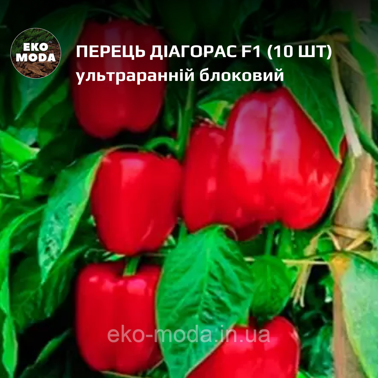 Перець Діагорас F1  - ультраранній, блоковий - ( 10 шт  zip-пакет)