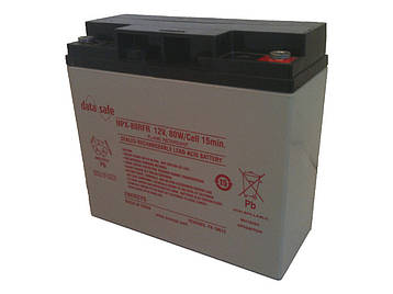 Акумулятор ENERSYS DataSafe NPX 80-12 (20Аг), фото 1