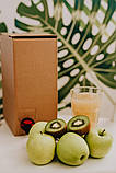 Сік Яблуко та Ківі 100% - NFC Juice 5 л, фото 4