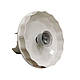 Кришка редуктор для Блендер PHILIPS Daily Collection HR2537 HR2546 ProMix (300005691451) 1000мл XL, фото 5