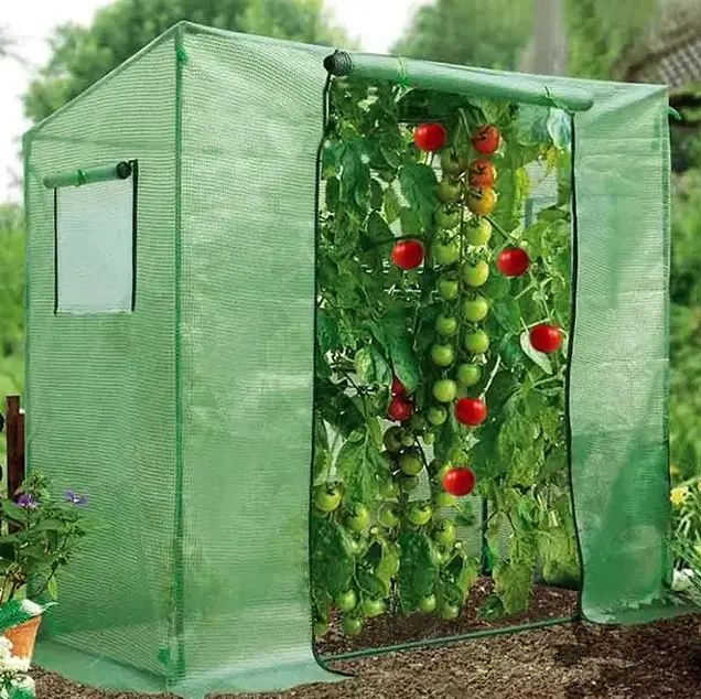 Теплиця парник для огірків та помідорів 200х77 см Focus Garden зелена - використання на ділянці