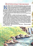 Велика книга казок. Художник Джон Пейшенс, фото 10
