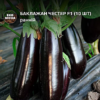 Баклажан Честер F1  - ранній - ( 10 шт  zip-пакет)
