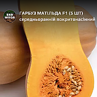 Гарбуз Матільда F1 - середньоранній покритонасінний - ( 5 шт zip-пакет)