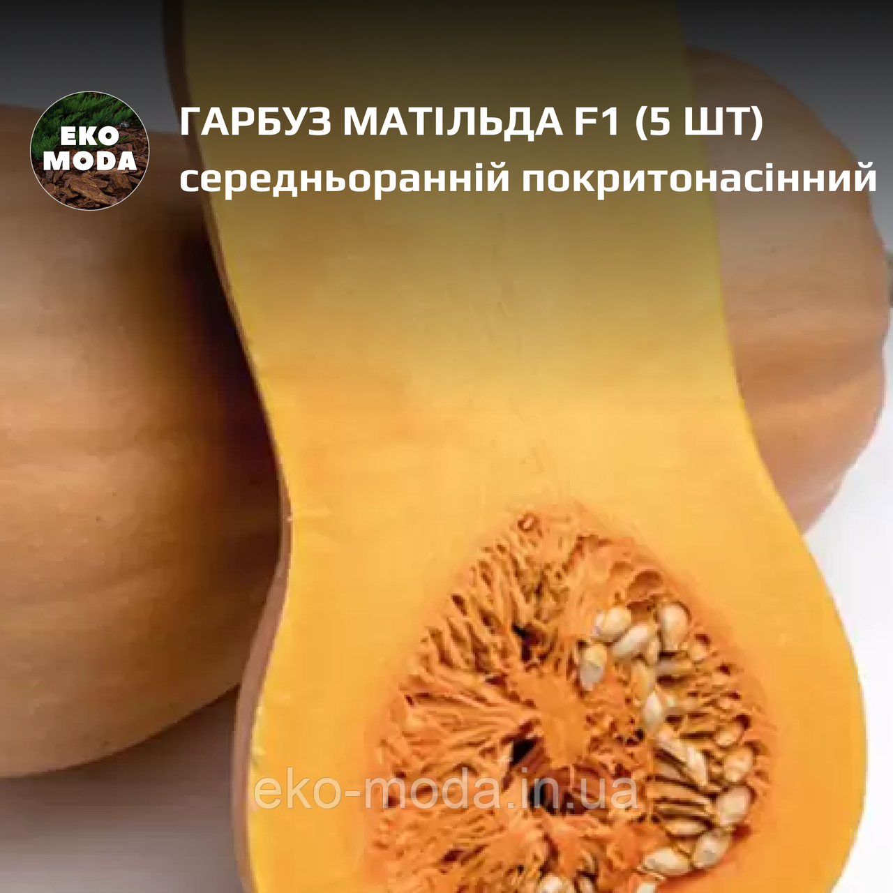 Гарбуз Матільда F1 - середньоранній покритонасінний - ( 5 шт zip-пакет), фото 1