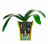 Вазон Dali-Dea 2,0л оливковий-сірий, фото 2