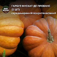 Гарбуз Мускат де Прованс - середньоранній покритонасінний - ( 5 шт zip-пакет)