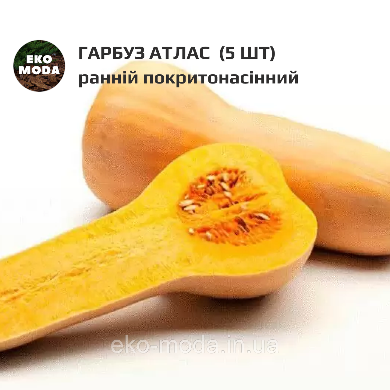 Гарбуз Атлас - ранній покритонасінний - ( 5 шт zip-пакет)