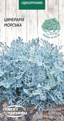 Цинерарія морська 0,1г Насіння України, фото 1