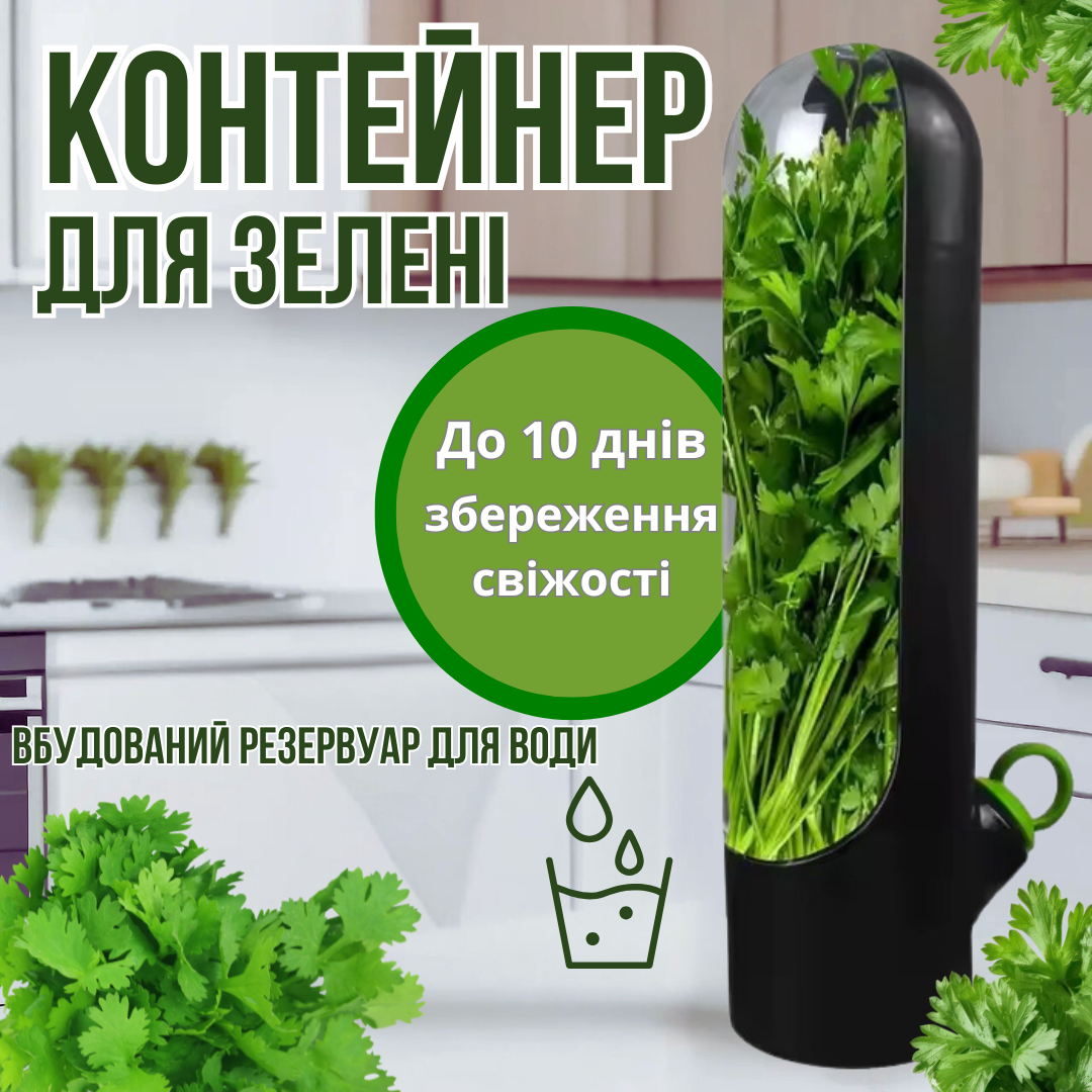 Контейнер органайзер для зберігання зелені Herb Saver, чорний, фото 1