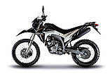 LONCIN LX300GY SX2 PRO, фото 5