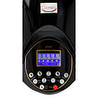 Перукамерський інфазон клімазон Kallisto чорний підвісний, фото 5