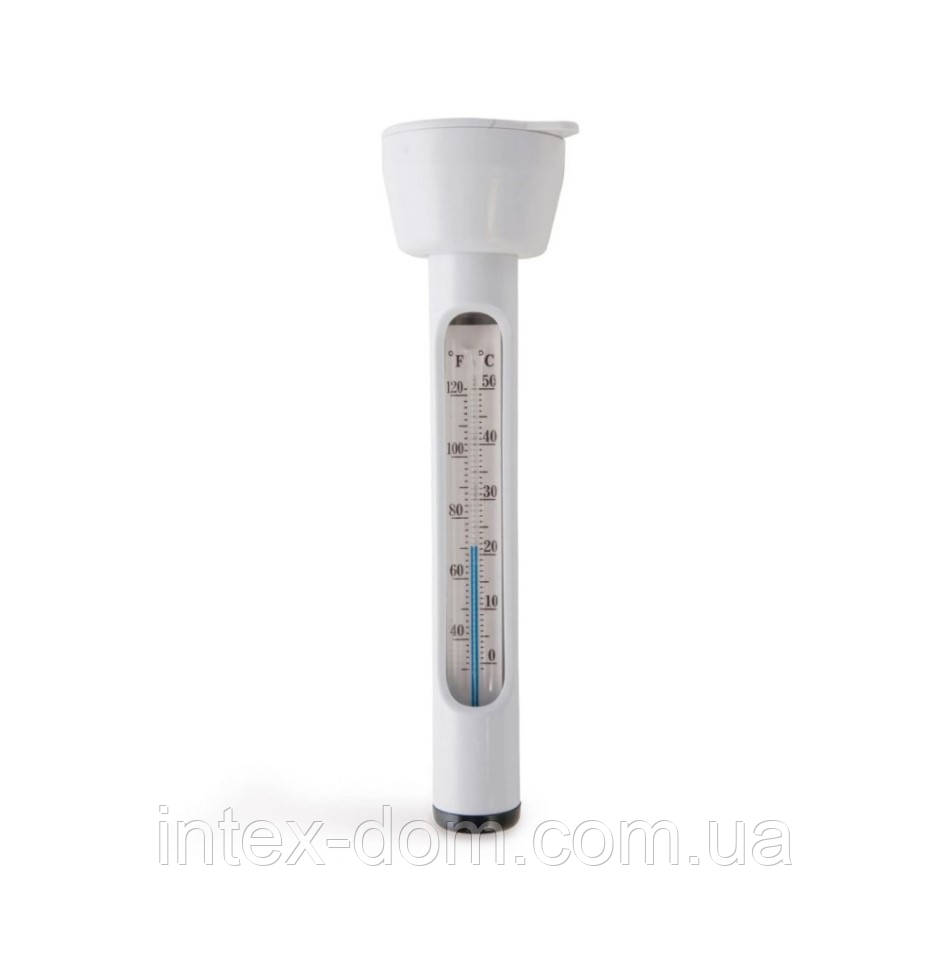 Термометр Intex 28093 для басейну, фото 1