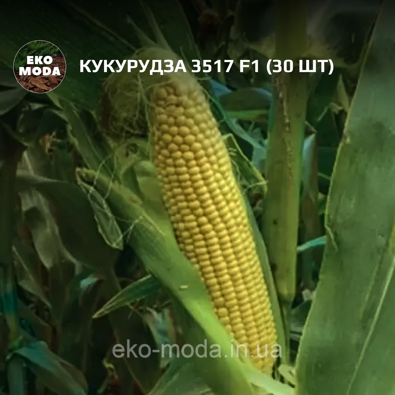 Кукурудза 3517 F1- ультрараня - ( 30 шт zip-пакет)