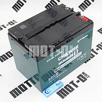 Тягова АКБ CHILWEE 6-EVF-58.2