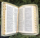 Біблія Турконяка сучасний переклад з пошуковими індексами на замочці українською мовою 14*20 см, фото 7