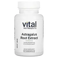 Vital Nutrients, екстракт кореня астрагала, 90 веганських капсул
