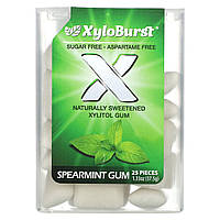 Xyloburst, ксилітолова камедь, м'ятна жувальна камедь, 25 шт., 37,5 г (1,33 унції)