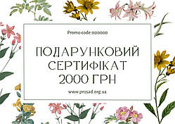 Подарунковий сертифікат 2000 грн